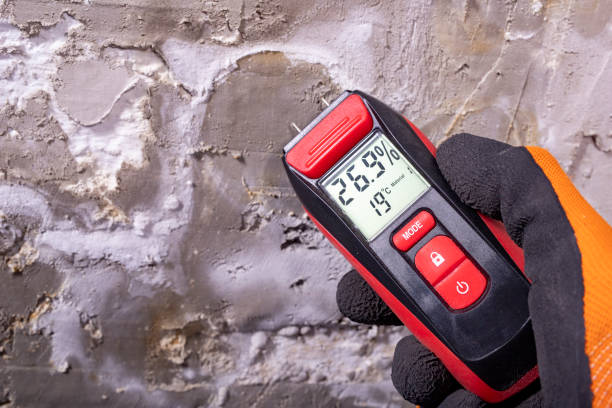 North Lakeport, CA Mold Removal Company