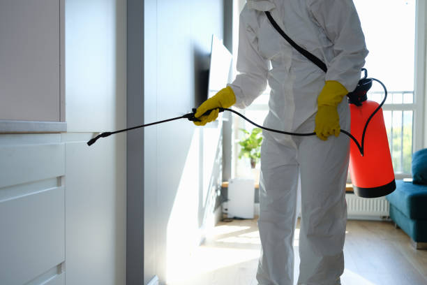 Professional Mold Removal in North Lakeport, CA