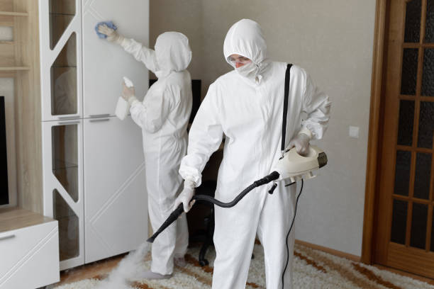 Mold Removal and Inspection in North Lakeport, CA