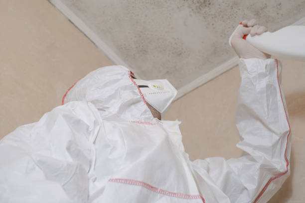 Best Emergency Mold Removal  in North Lakeport, CA
