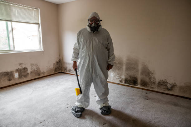 Best Certified Mold Removal  in North Lakeport, CA