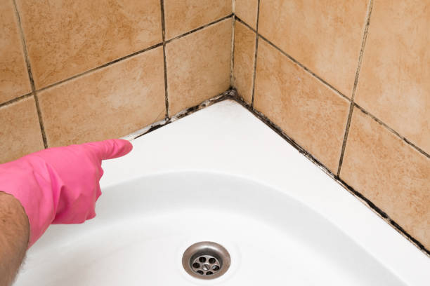 Best Residential Mold Removal  in North Lakeport, CA